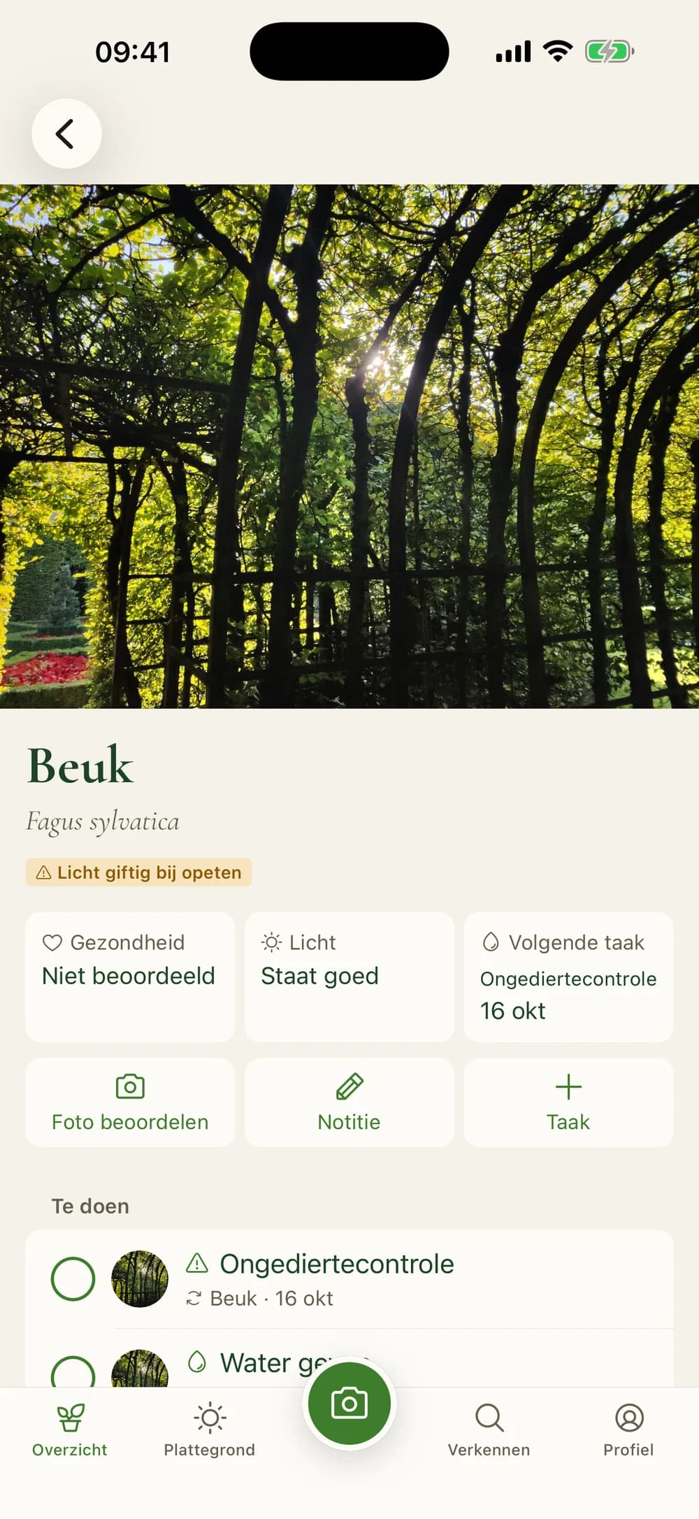 Plant page with health, light and the next task